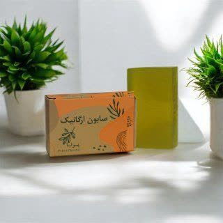 صابون آلوئه ورا پرنا