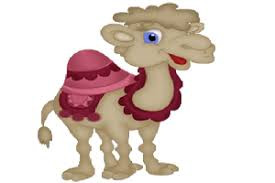 روغن کوهان شتر